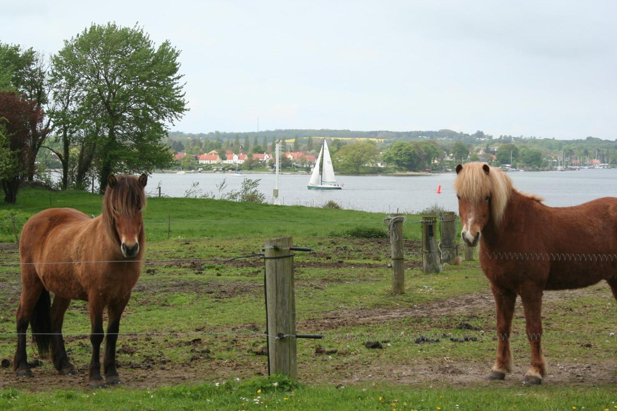 Grastenhus Guesthouse Thurø By 외부 사진